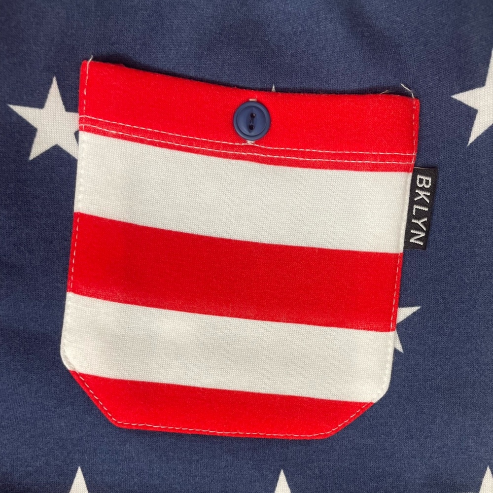 Brooklyn Cloth Americana 5” Shorts NWT - Picture 11 of 13